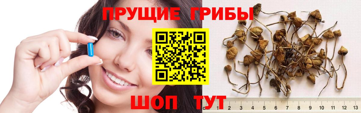 Псилоцибиновые грибы прущие грибы  Псилоцибиновые грибы MAGIC MUSHROOMS  Муром  Вход с VPN 