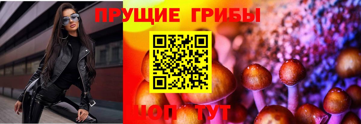 Галлюциногенные грибы GOLDEN TEACHER Муром
